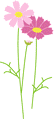 ダリア