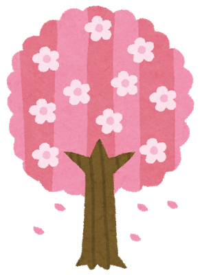 さくら