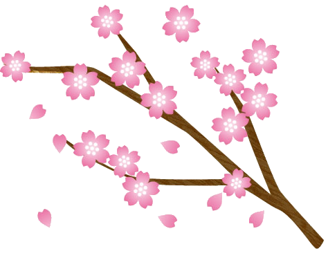 さくら