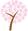 さくら